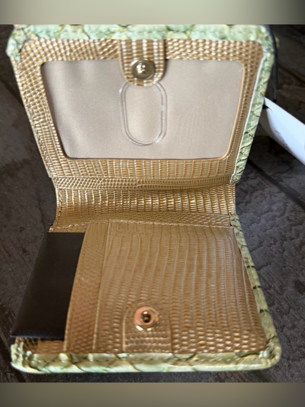 BRAHMIN JANE MINT NOVELLA PAYENT SNAKE LEATHER NWT GREEN - Picture 3 of 8